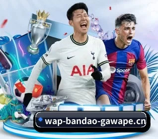 半岛电竞 APP 界面